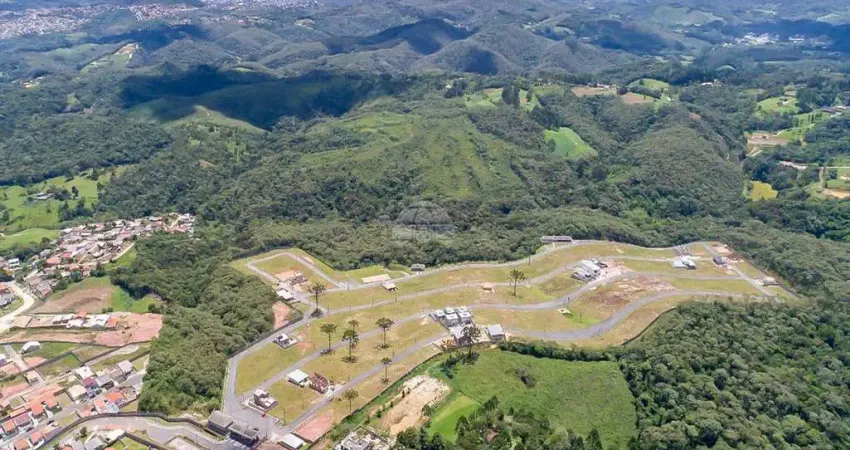 Terreno à venda na Rua do Quivi, 341, Planta Santa Tereza, Colombo