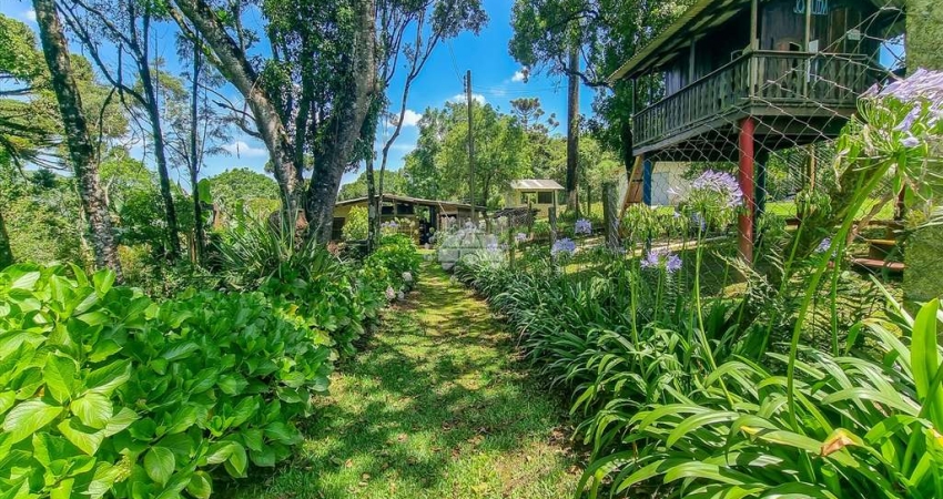 Chácara / sítio com 3 quartos à venda na Rua Faraó Cavalli, 1500, Campestre, Colombo