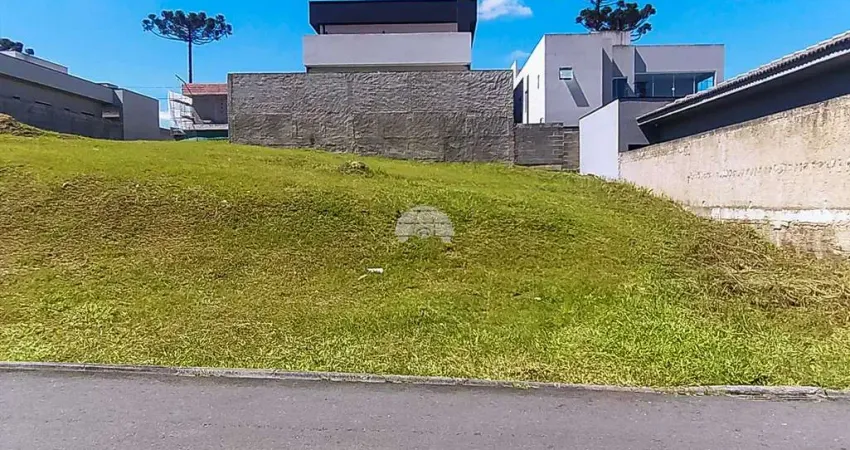 Terreno em condomínio fechado à venda na Rua do Quivi, 341, Planta Santa Tereza, Colombo
