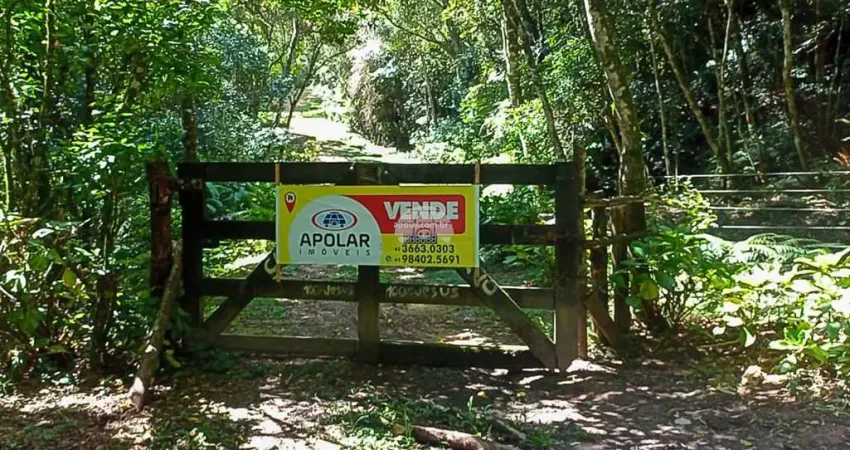 Chácara / sítio à venda na RODOVIA BR 476 KM 79, KM 79/80, Centro, Bocaiúva do Sul