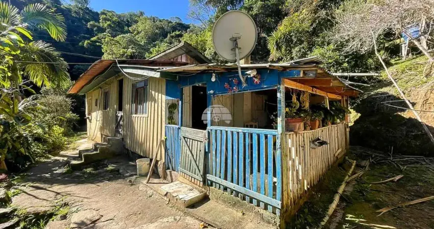 Chácara / sítio à venda na RODOVIA BR 476 KM 79, KM 79/80, Centro, Bocaiúva do Sul