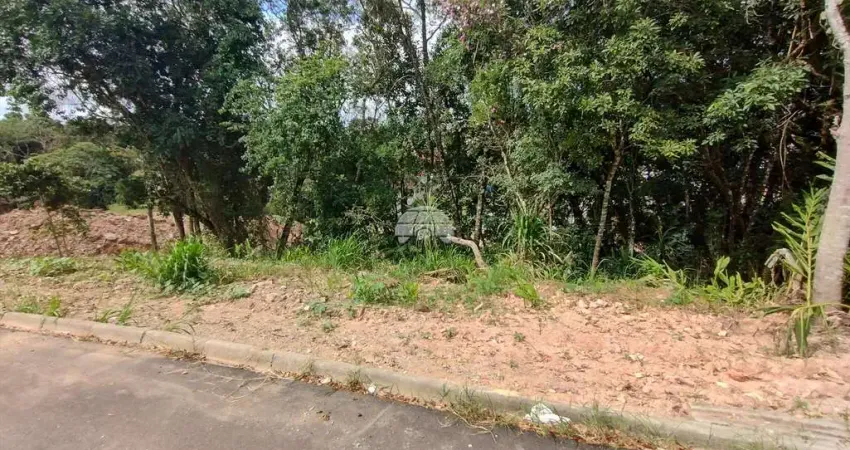 Terreno à venda na Rua das Oliveiras, 76, Parque do Embu, Colombo