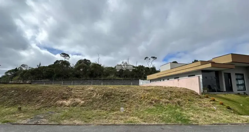 Terreno em condomínio fechado à venda na Rua do Quivi, 341, Arruda, Colombo