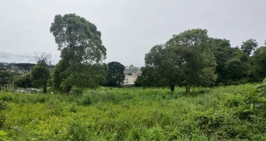 Terreno comercial à venda na Rua Luíz Gulin, 408, Roça Grande, Colombo