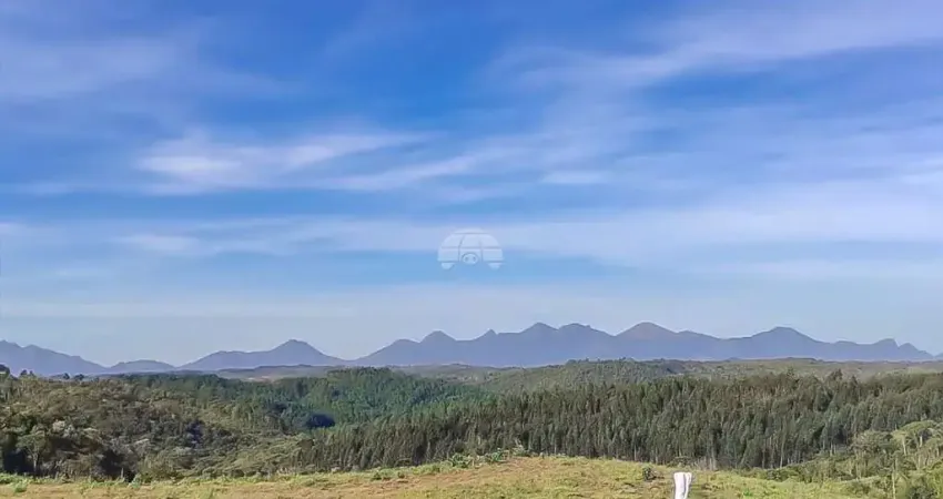 Chácara / sítio à venda na ESTRADA DAS SAIBREIRAS, Zona Rural, Bocaiúva do Sul