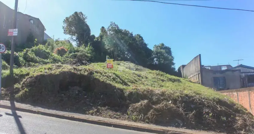 Terreno à venda na Rua íris, 402, Jardim Boa Vista, Campo Magro