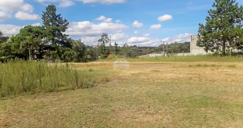 Terreno comercial à venda na RODOVIA GUMERCINDO BOZA KM 20, 14499, Samambaia, Campo Magro