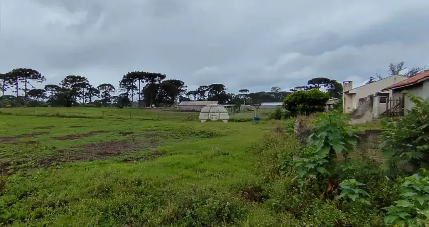 Terreno comercial à venda na Rua Pastor Adolfo Weidmann, 1542, Guarituba, Piraquara