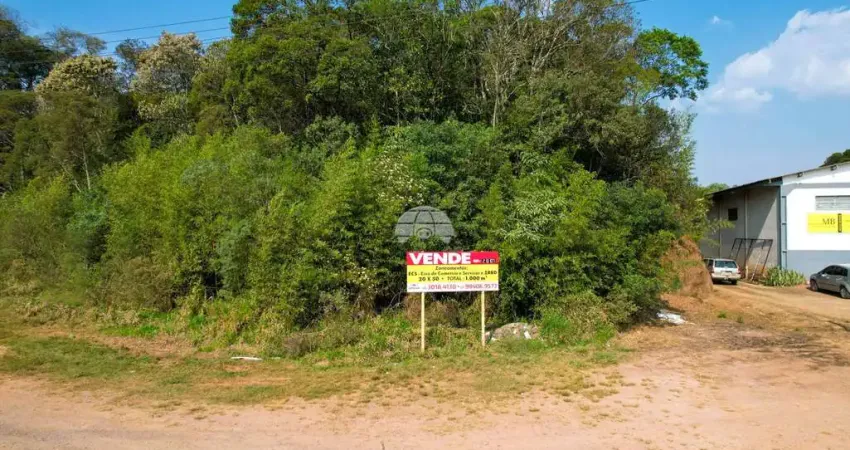 Terreno à venda na RUA JOAO AMAURI DE MOLETA, 23, Centro, Mandirituba
