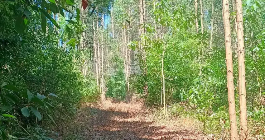 Terreno à venda na ESTRADA PR 160, C48P+M62, Campinas Belas, Reserva