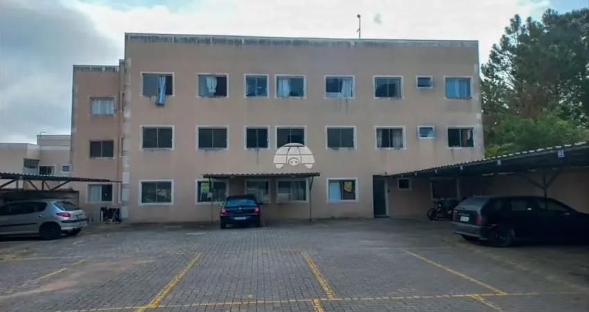 Apartamento com 2 quartos à venda na Rua Austregésilo de Atayde, 18, Roseira, São José dos Pinhais