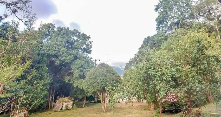 Chácara / sítio com 4 quartos à venda na ESTRADA PEDRO KRAMAR, 0000, Contenda, São José dos Pinhais