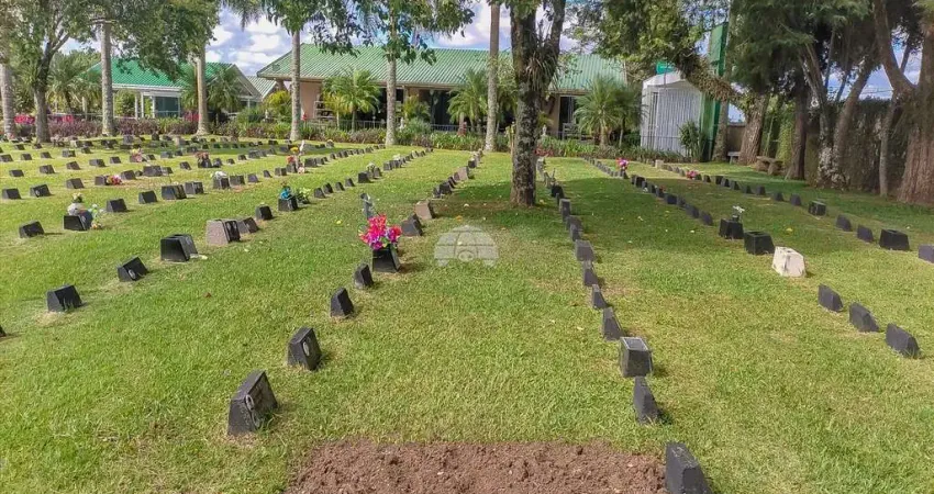 Terreno em condomínio fechado à venda na Rua Valdemiro Valaski, S/N, Guatupê, São José dos Pinhais