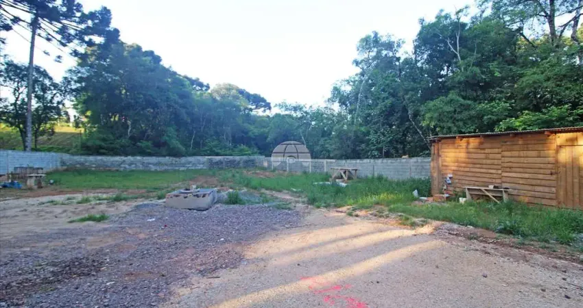 Terreno comercial para alugar na Rua Paulo Soppa, 135, Lamenha Pequena, Almirante Tamandaré