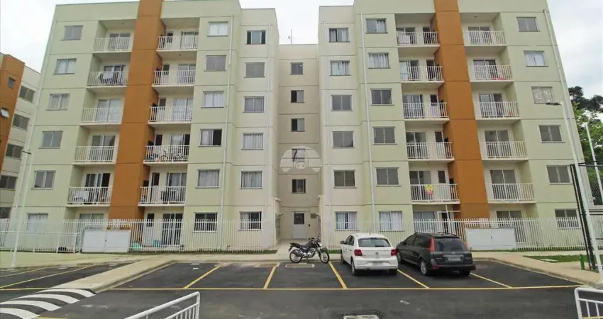 Apartamento com 2 quartos para alugar na Rua Vereador Dirceu Pavoni, 498, Vila Graziela, Almirante Tamandaré