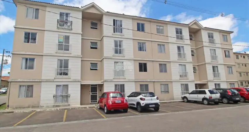 Apartamento com 2 quartos para alugar na Rua Agenor Lino de Oliveira, 290, Afonso Pena, São José dos Pinhais