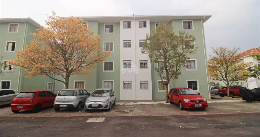 Apartamento com 2 quartos para alugar na Rua Angélica Pavelski, 149, Augusta, Curitiba