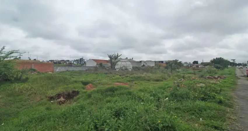 Terreno comercial para alugar na Rua Professora Nilce Terezinha Zanetti, 213, Jardim Paulista, Campina Grande do Sul