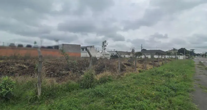 Terreno comercial para alugar na Rua Professora Nilce Terezinha Zanetti, 227, Jardim Paulista, Campina Grande do Sul