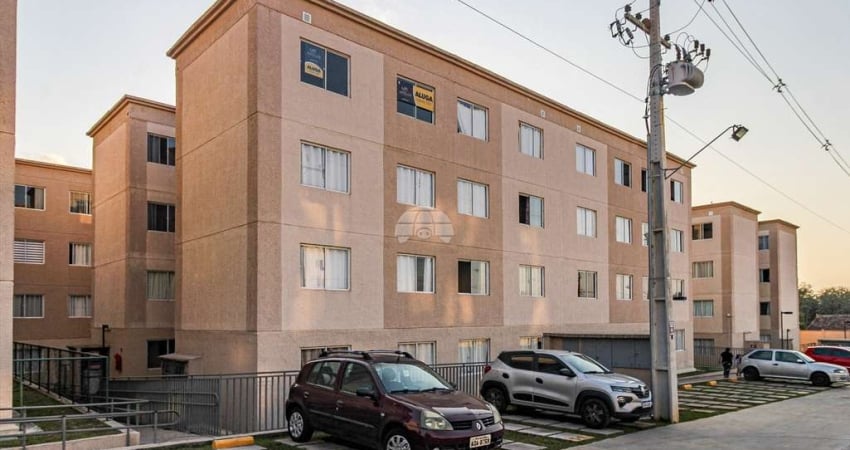 Apartamento com 2 quartos para alugar na Rua José Gomes de Almeida, 805, Zaniolo, São José dos Pinhais