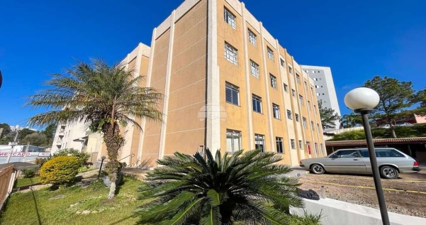 Apartamento com 3 quartos para alugar na Rua Margarida Fogiatto Cavagnari, 142, Atuba, Curitiba