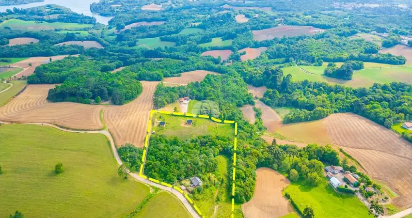 Chácara / sítio com 1 quarto à venda na RUA DO KRUPA, 1, Botiatuva, Campo Largo