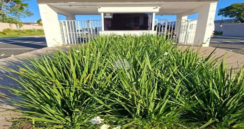 Apartamento com 2 quartos para alugar na Rua Caetano Munhoz da Rocha, 1080, Ouro Verde, Campo Largo