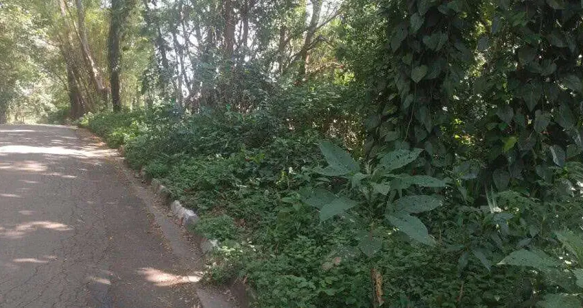 Terreno à venda na Rua Professora Ana Nastari Brunetti, Granja Viana, Cotia