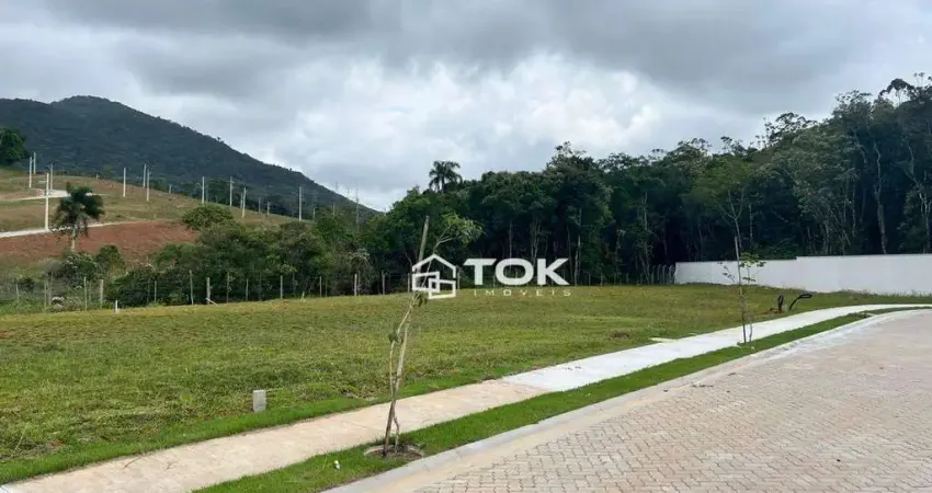 Terreno à venda, 250 m² por r$ 420.000,00 - rio do meio - itajaí/sc