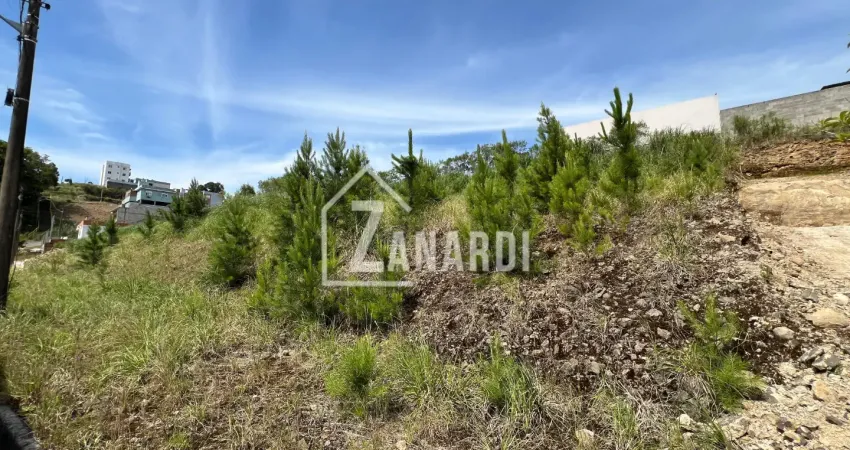 Terreno com uma vista fantástica em rua tranquila e de pouco movimento no bairro Desvio Rizzo