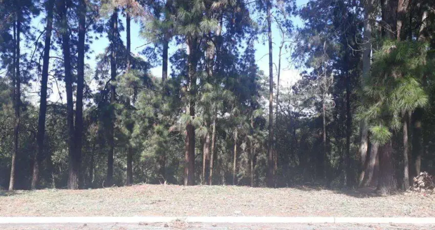 Terreno à venda em barueri, residencial morada dos lagos, residencial lago orion