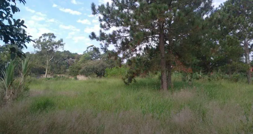 Terreno comercial à venda na Rua João Elizeu Cassalho, 134, Laranjeiras, Caieiras
