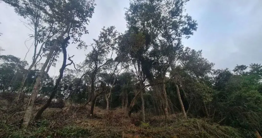Terreno à venda, 3000 m² por R$ 490.000,00 - Residencial Santa Helena - Gleba I - Santana de Parnaíba/SP