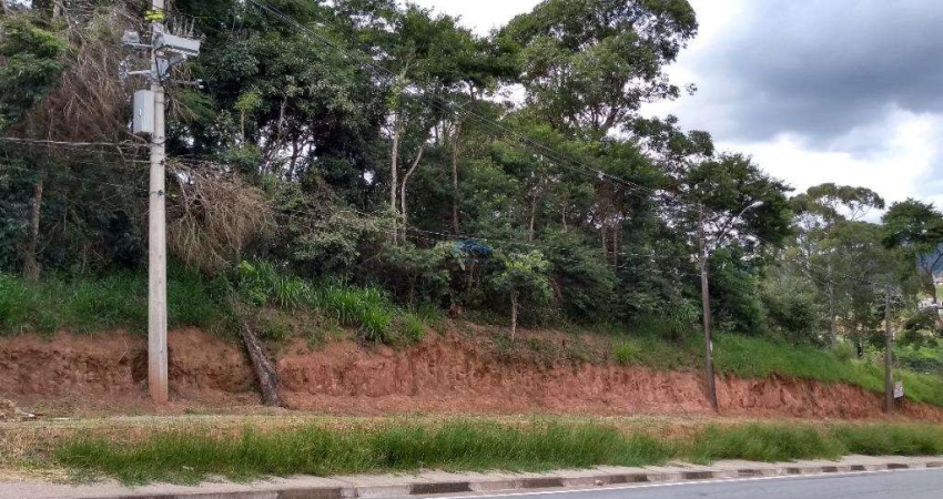 Terreno à venda, 12000 m² por R$ 6.360.000,00 - Votuparim - Santana de Parnaíba/SP