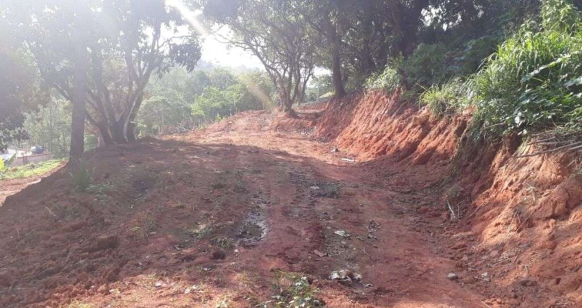 Terreno à venda, 630 m² por R$ 350.000,00 - Jardim Professor Benoá - Santana de Parnaíba/SP