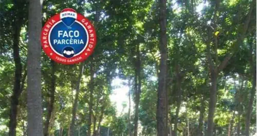 Lotes de 5 hectares com plantação de mogno africano a ser negociado a parte