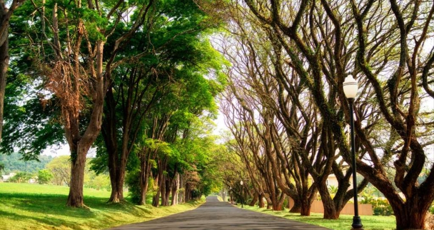 Terreno em condomínio fechado à venda na Rod Bandeirantes, KM 72, Jardim Primavera, Itupeva
