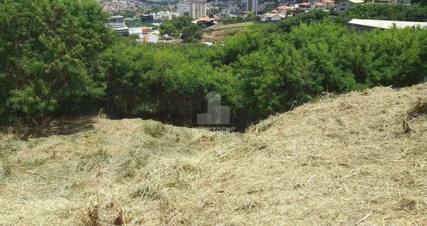 Terreno comercial para alugar na Rua Paulo Freire de Araújo, Estoril, Belo Horizonte