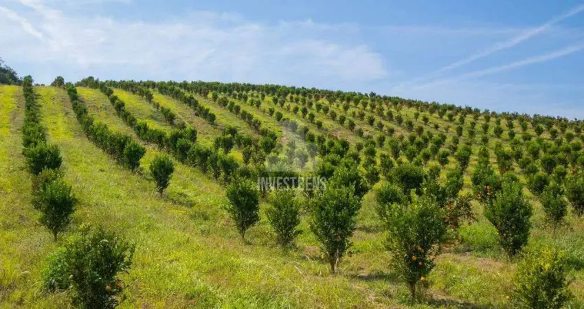 Chácara / sítio com 3 quartos à venda na Zona Rural, Centro, Moeda