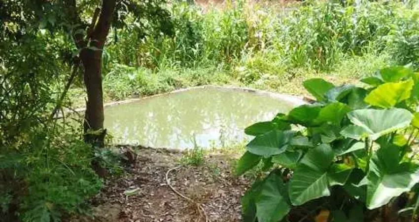 Apartamento com 4 quartos à venda na Zona Rural, Goianápolis 