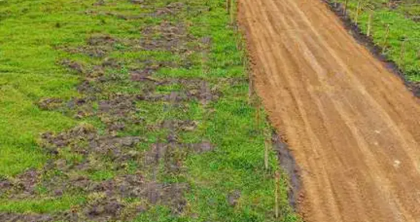 Terreno à venda em Bom Sucesso, Pindamonhangaba 