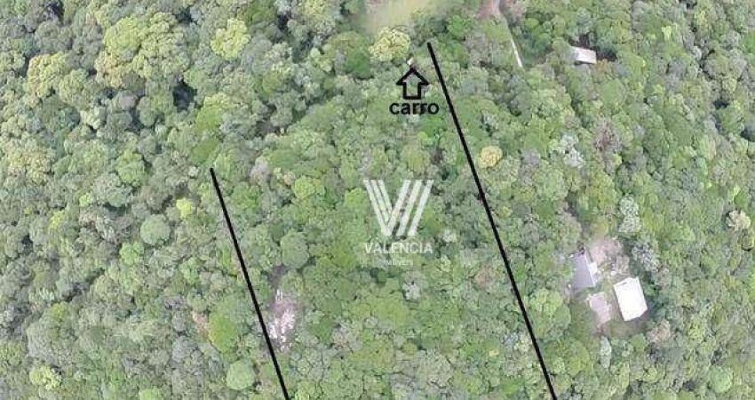 Chácara à venda, 10640 m² por R$ 550.000,00 - Recreio da Serra - Piraquara/PR