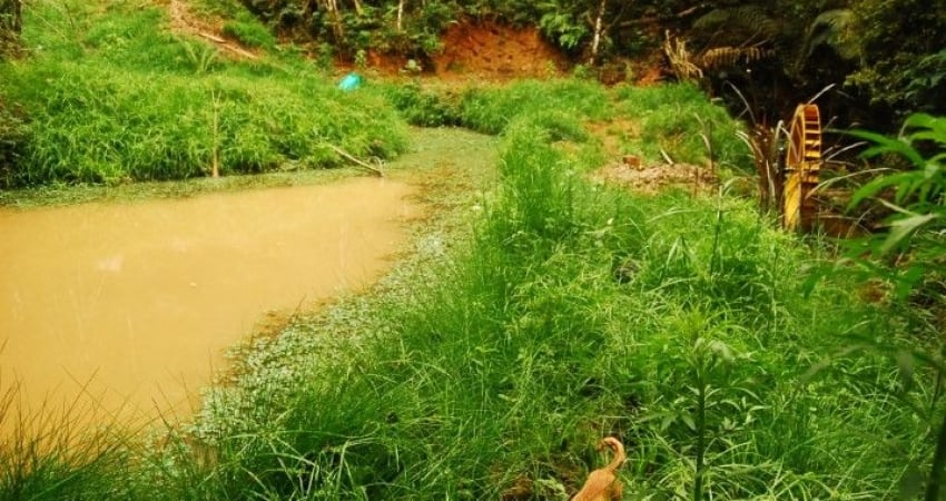 Chácara à venda, 48400 m² por R$ 1.750.000 - Area Industrial Mitra - Campina Grande do Sul/PR