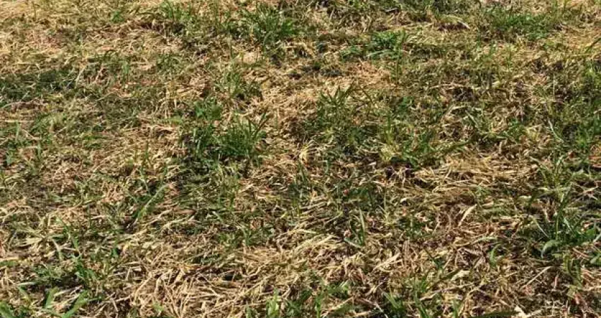 Terreno à venda em alphaville ii salvador, várias opções a partir de r$ 1.435.000,00! agende sua visita!