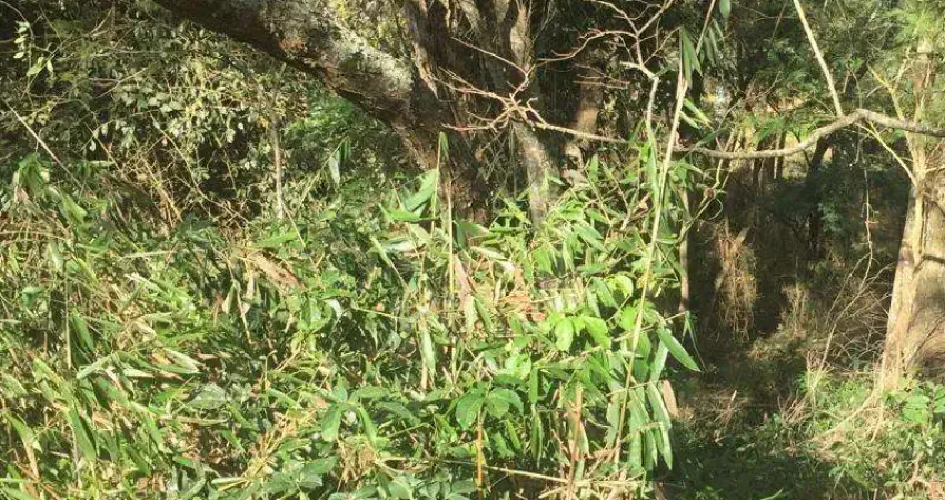 Terreno em condomínio para venda em juiz de fora, condomínio ecológico estrada real