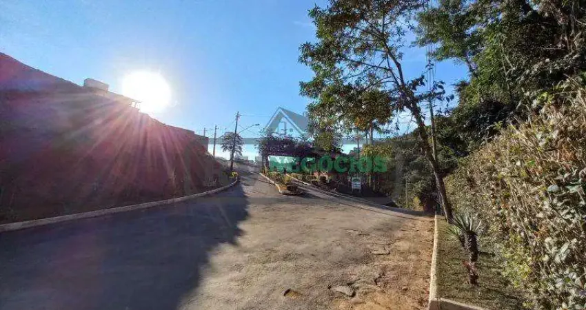 Terreno em condomínio para venda em juiz de fora, salvaterra