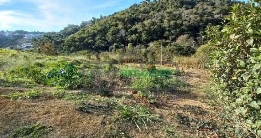 Terreno em condomínio para venda em juiz de fora, salvaterra