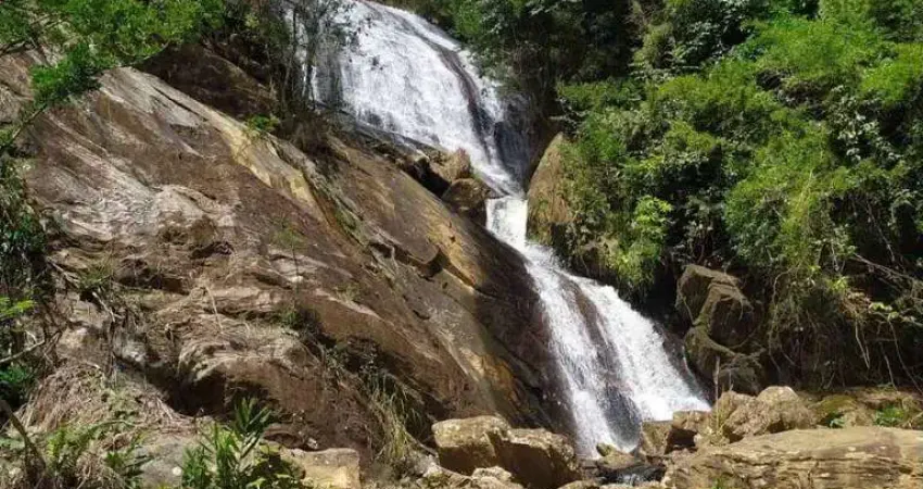 Terreno em condomínio para venda em coronel pacheco, triqueda