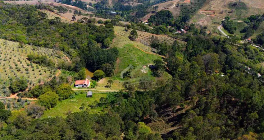 Fazenda à venda no Centro, Delfim Moreira 