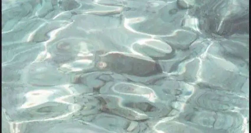 Residencial maria francisca, à poucos metros da praia loft 302 - spe